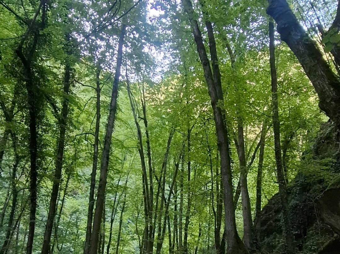 Gaul Canyon-拉纳必去景点
