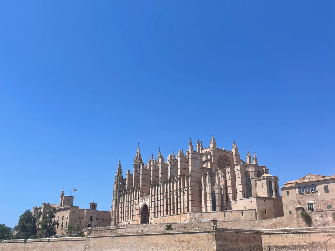 Cathedral de Mallorca-马洛卡帕尔马必去景点