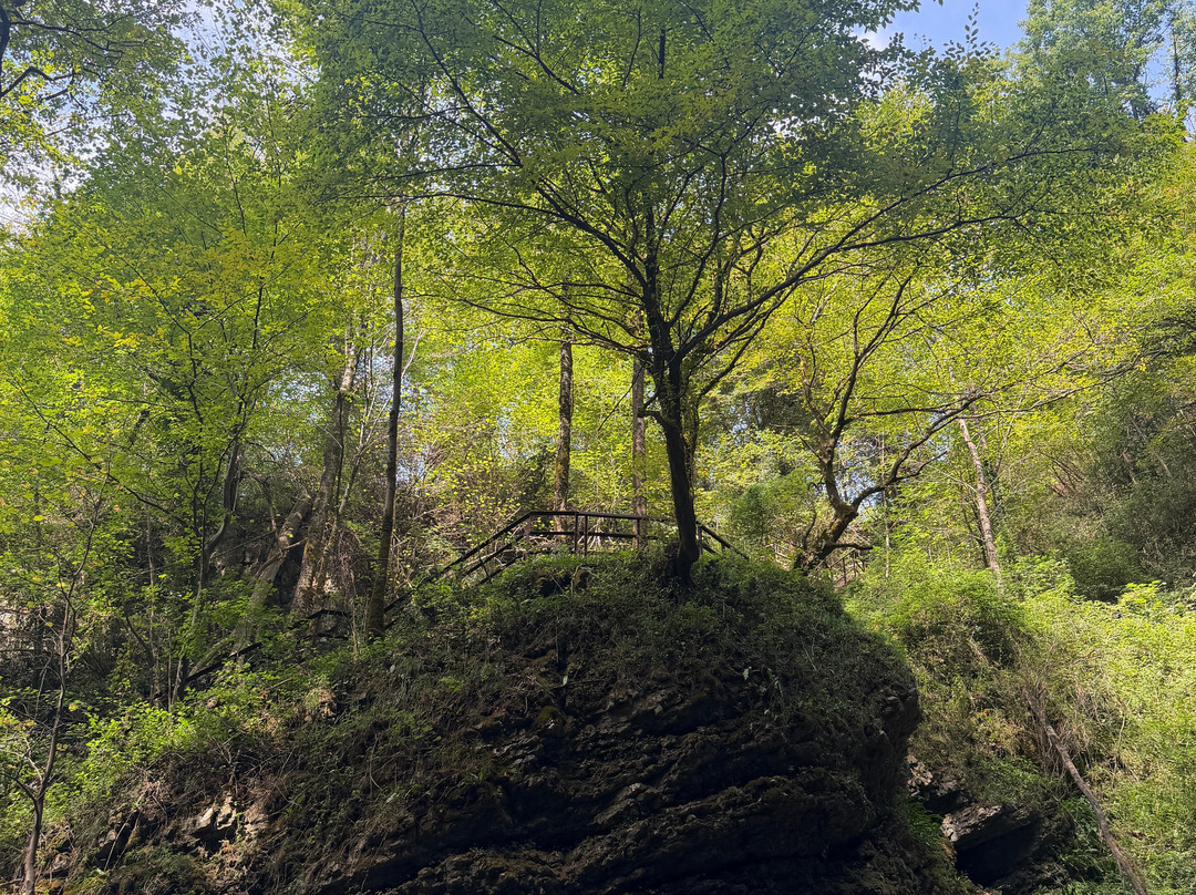 Cascata Di Ferrera Di Varese-Ferrera di Varese必去景点