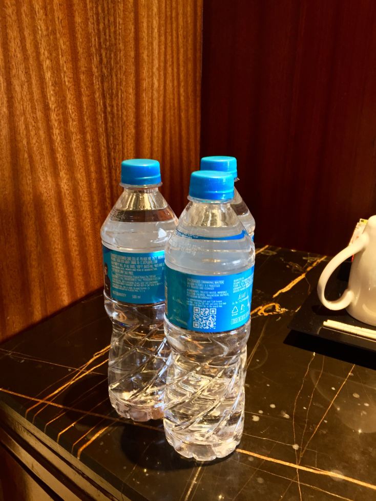 丽笙酒店库夫里西姆拉-旅行者