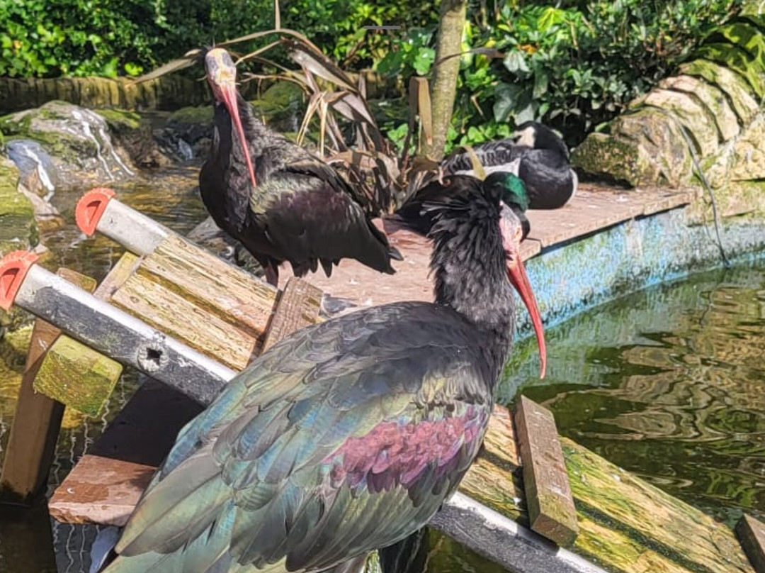 Five Sisters Zoo-West Calder必去景点