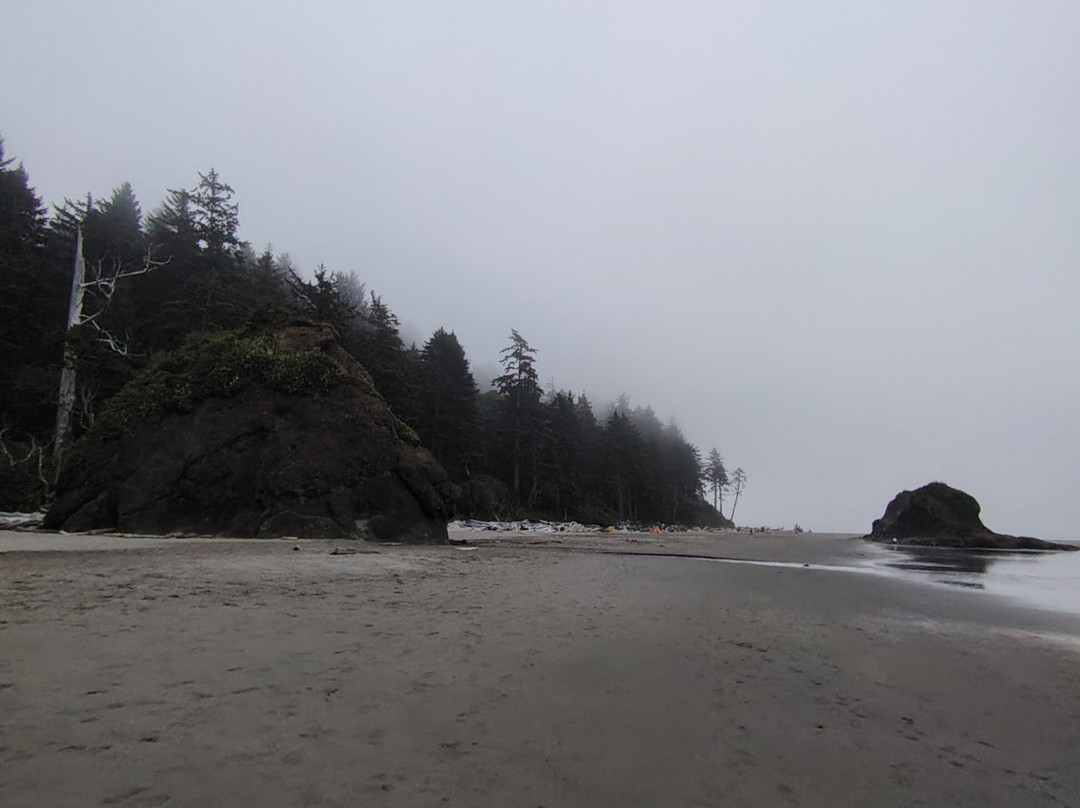 Second Beach Trail-奥林匹克国家公园必去景点