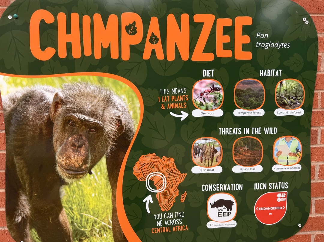 Twycross Zoo-Atherstone必去景点