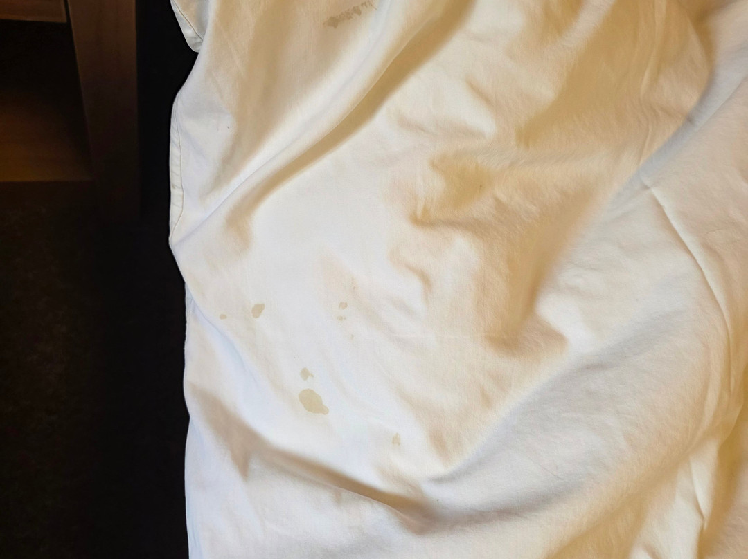 顿河酒馆及旅舍主图