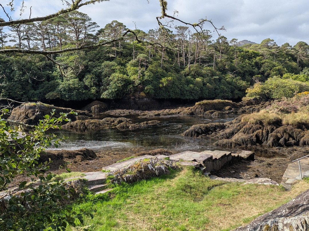 The Blue Pool Ferry-Glengarriff必去景点