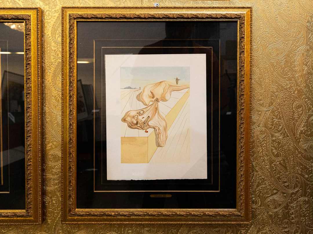 Salvador Dali Exhibition-布鲁日必去景点