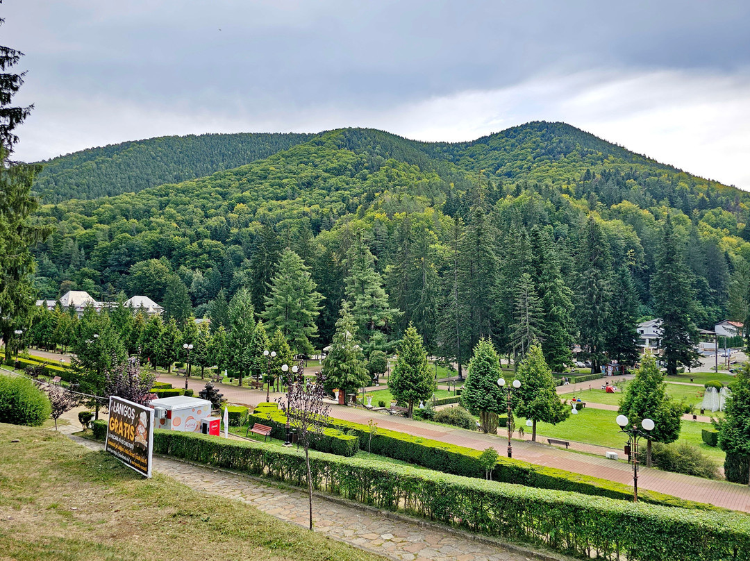 Parcul din Slanic Moldova-Slanic Moldova必去景点
