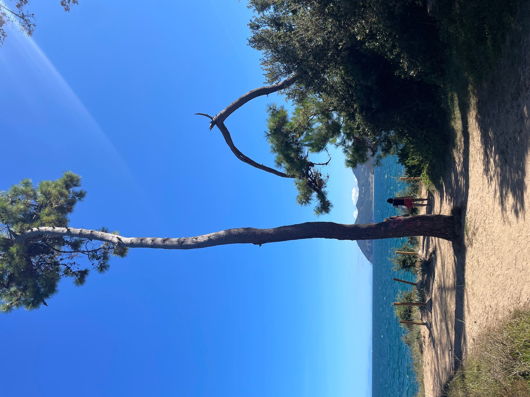 Playa de Trengandin-Noja必去景点