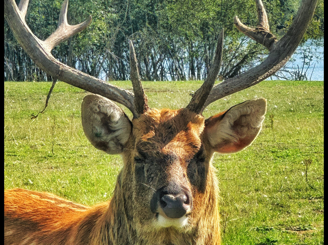 Watatunga Wildlife Reserve-金斯林必去景点
