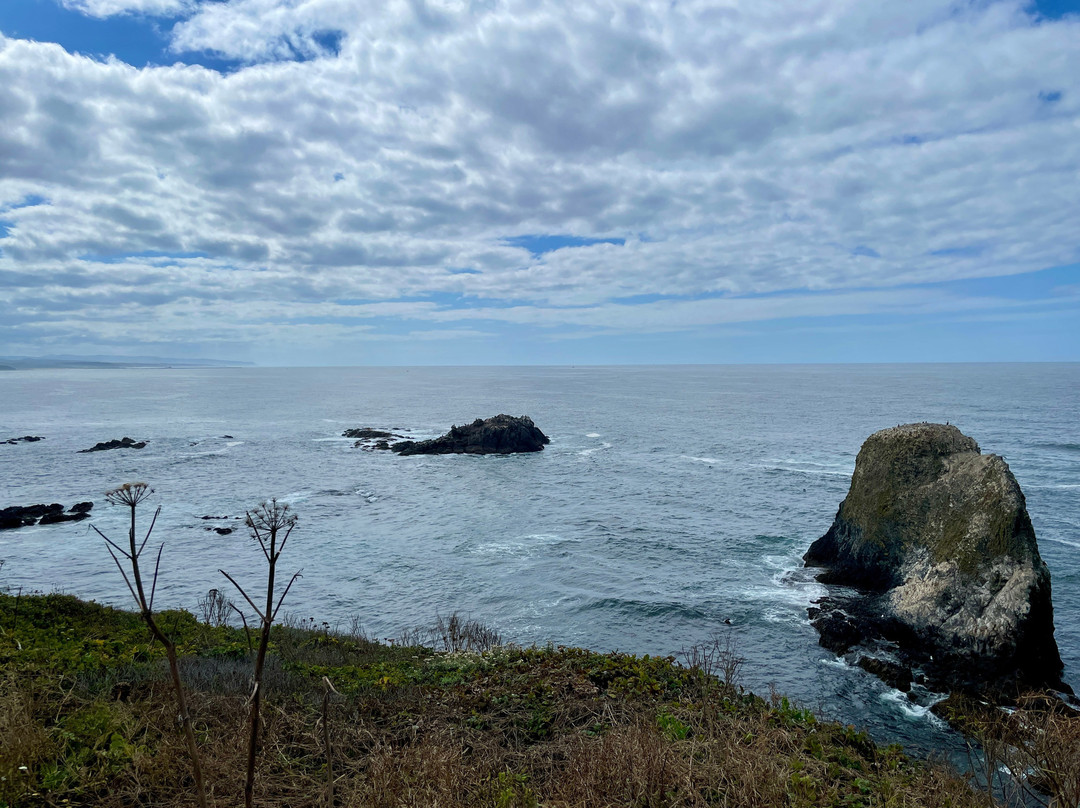Yaquina Head Lighthouse-纽波特必去景点