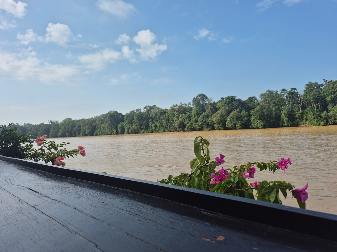 Borneo Eco Tours-亚庇必去景点