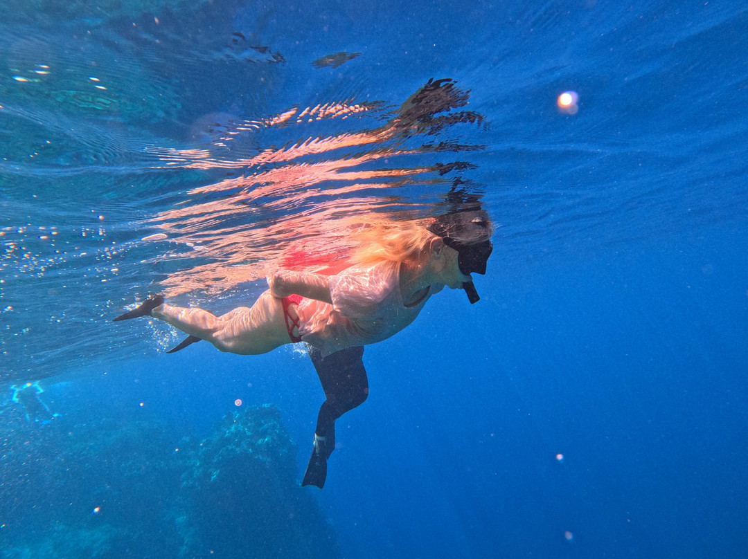 Menjangan Trip Snorkeling & Diving-Pejarakan必去景点