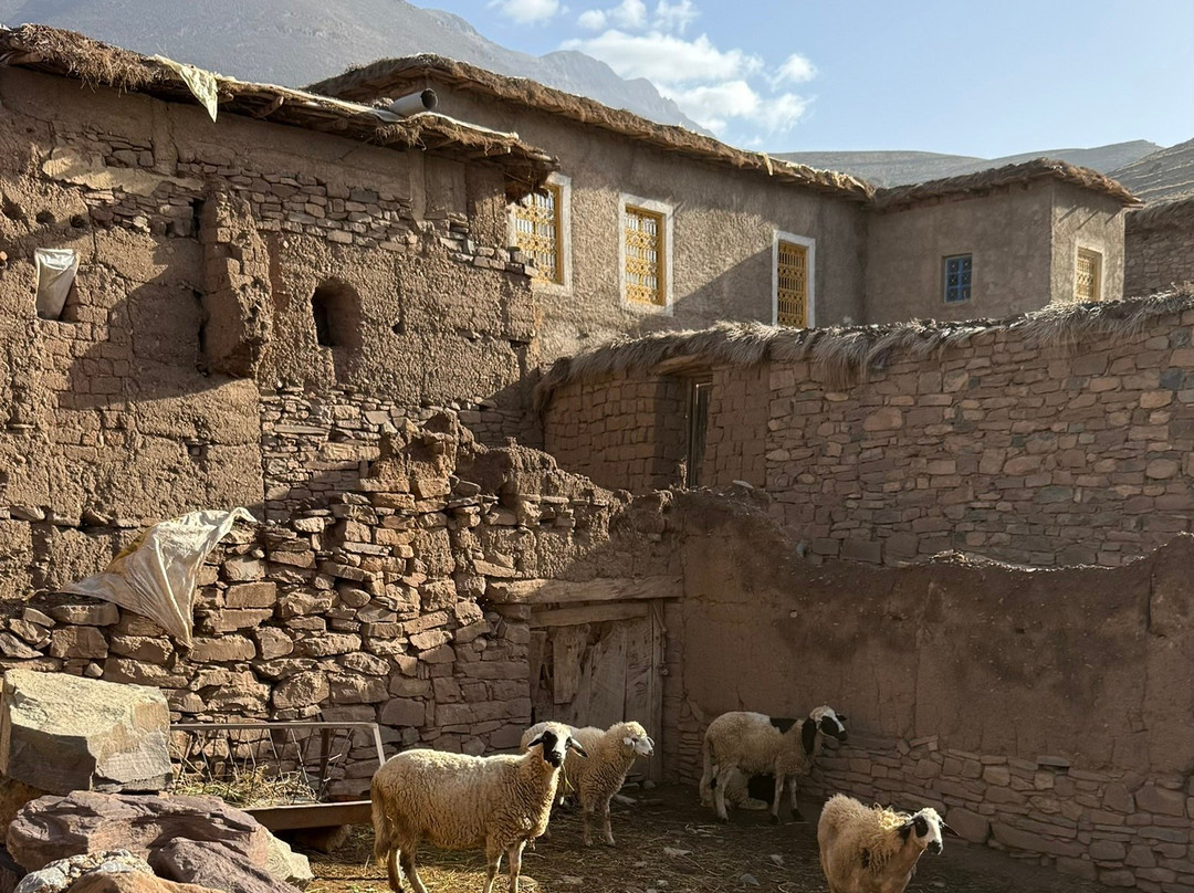 托达生态小屋旅馆主图