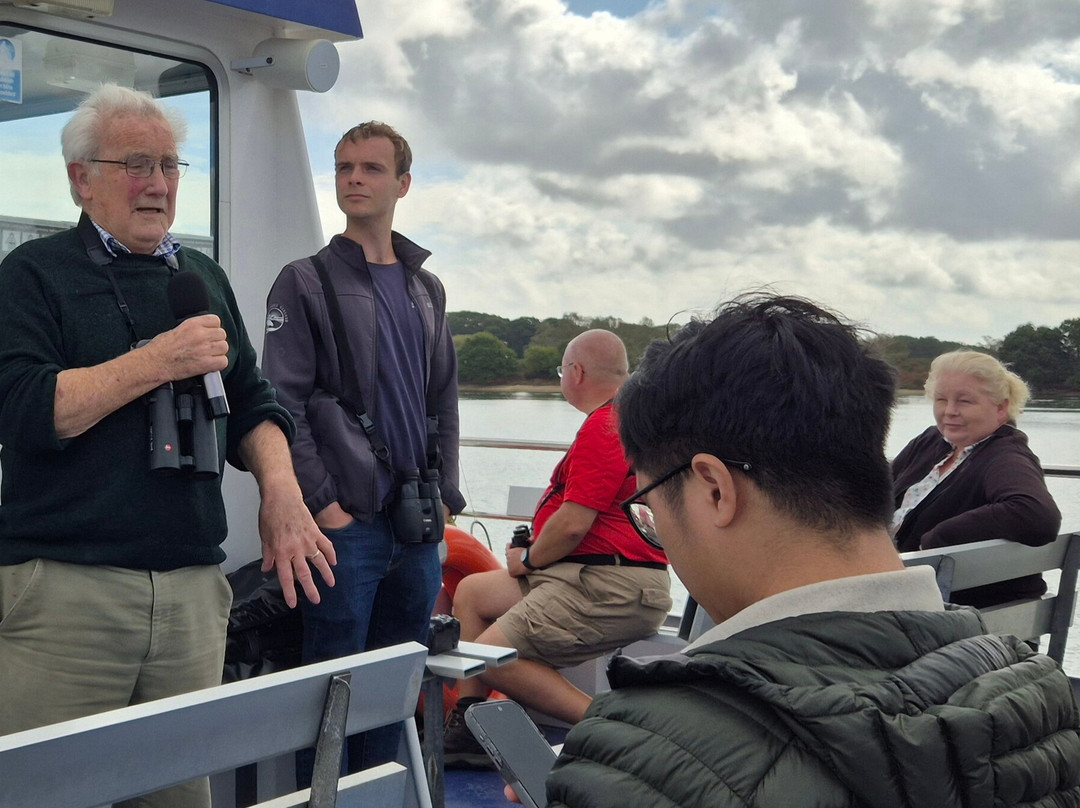 Birds Of Poole Harbour Events-普尔必去景点