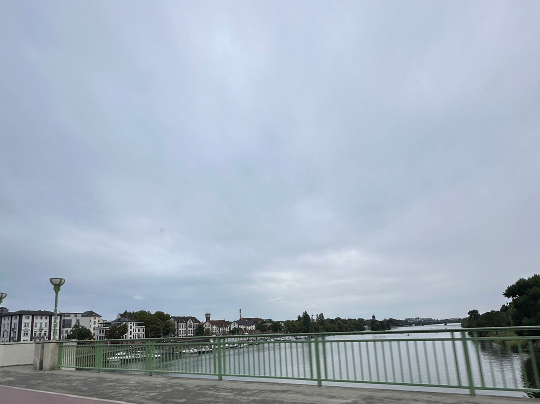 Neckar River-海德尔堡必去景点