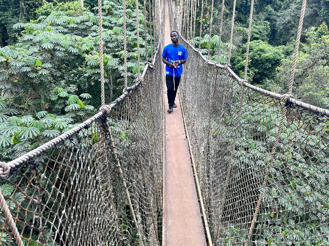 Kakum National Park-Cape Coast必去景点
