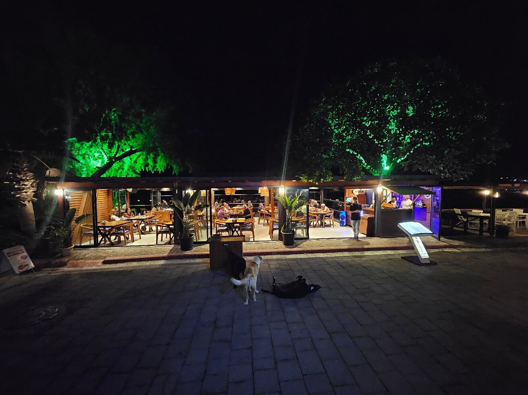 Salt Kitchen & Lounge