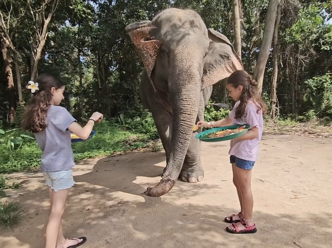 I Love Elephant Samui-Na Mueang必去景点