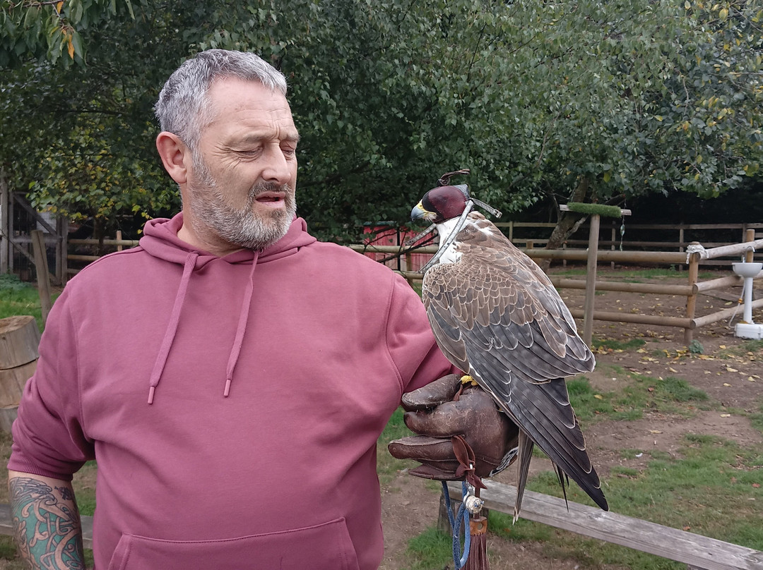 Willows Bird of Prey & Wildlife Trail-Knockholt必去景点
