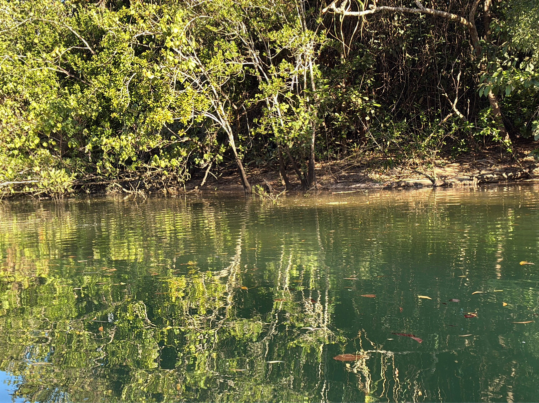 Hinchinbrook Island Tours-Hinchinbrook Island必去景点