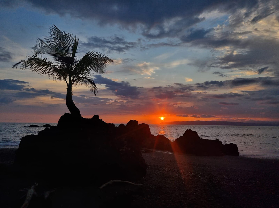 Mokum Surf Club - Costa Rica Surf Retreat-帕沃尼斯必去景点