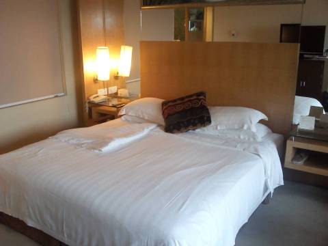 扬州花园国际大酒店-客卧