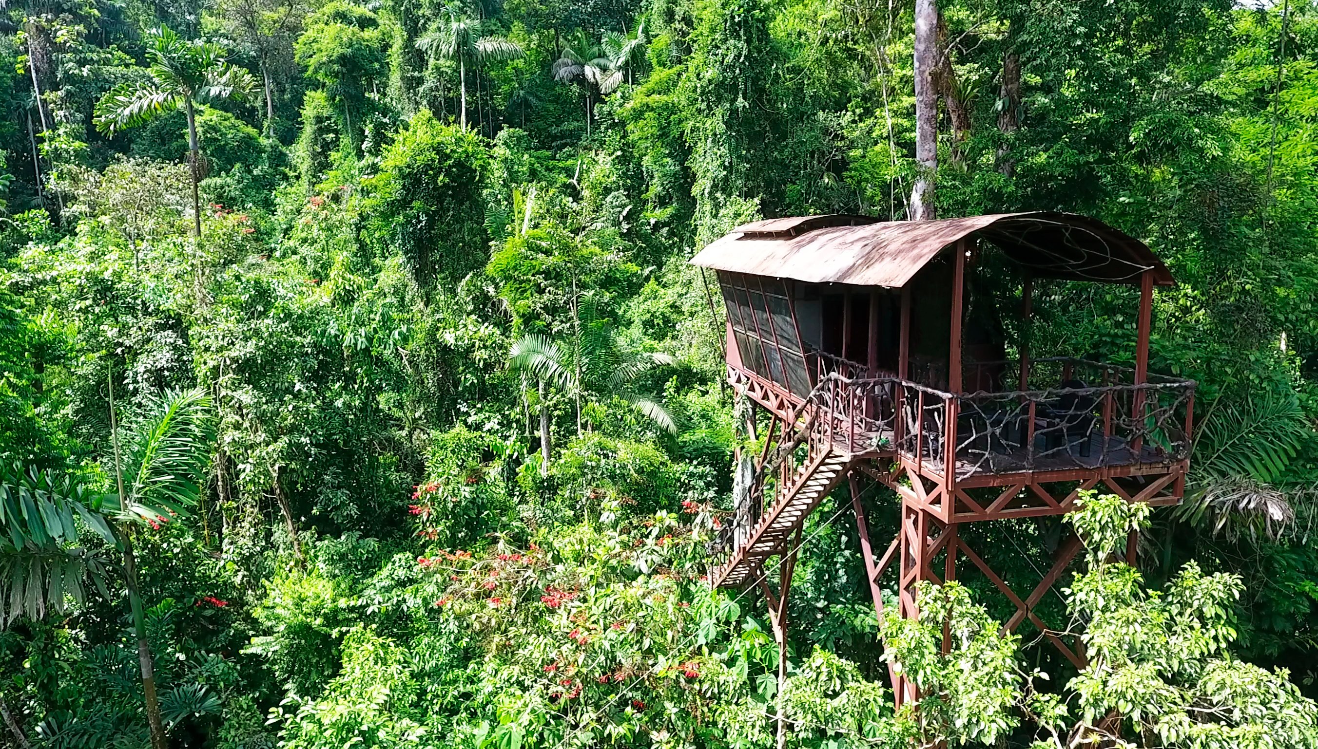 Maquenque Eco-Lodge-官方