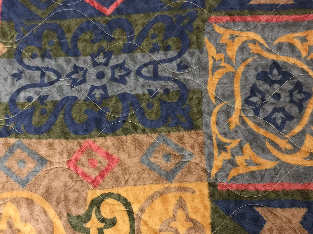 Belmont Inn & Suites Has Bedbugs