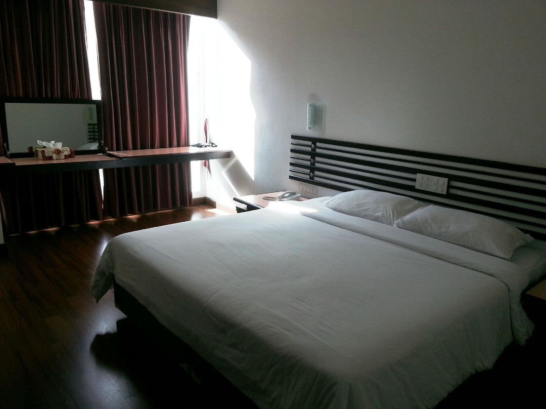 The Color Hotel