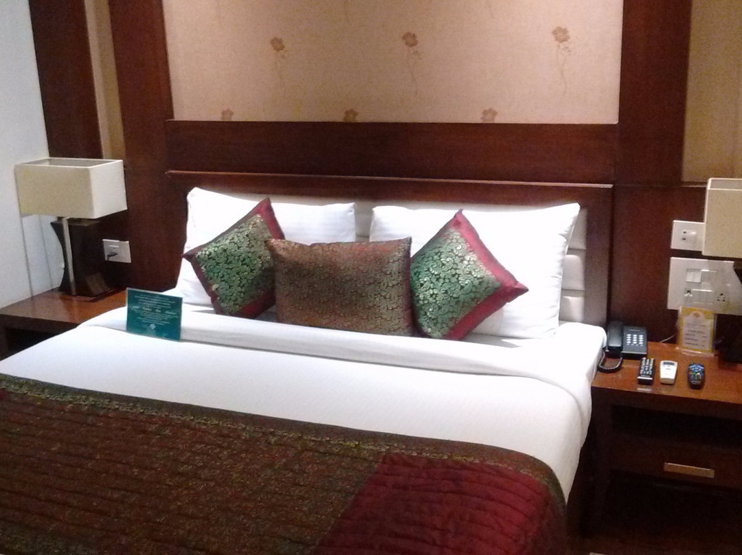 Palwal酒店住宿-Millionaire Hotel & Resort