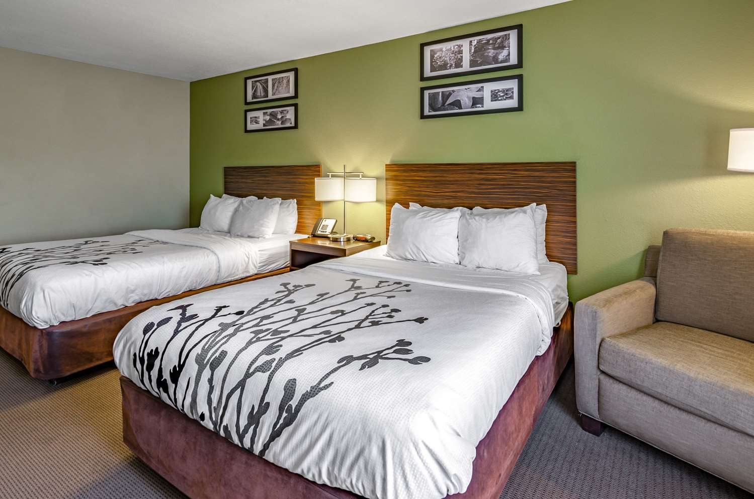 Sleep Inn Boone University Area-官方