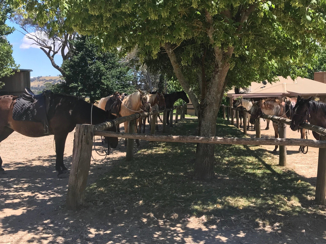 Rubicon Valley Horse Riding-Thornton必去景点