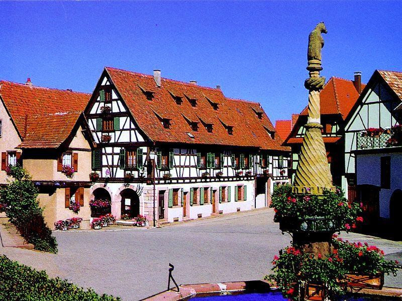 Domaine Schaeffer-Woerly景点图片