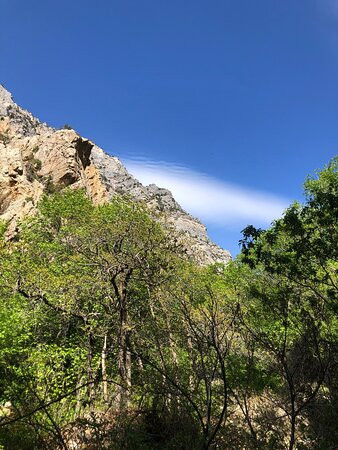 Rock Canyon景点图片