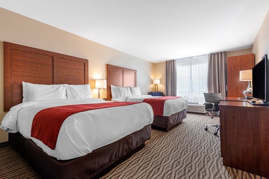 Comfort Inn & Suites-官方