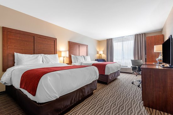 Comfort Inn & Suites主图