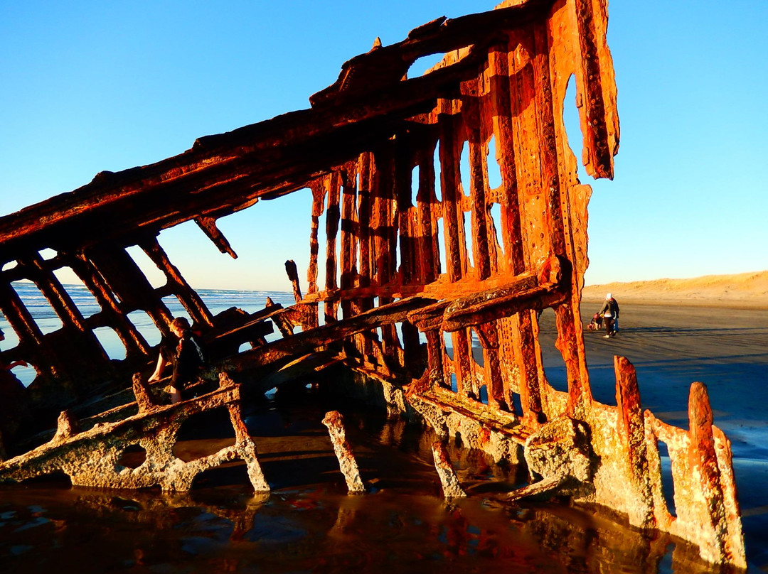 Peter Iredale Ship Wreck景点图片