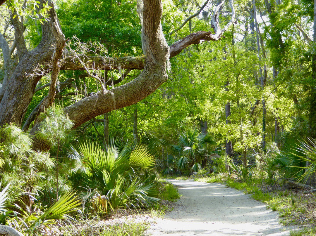 Indian Mound Trail景点图片