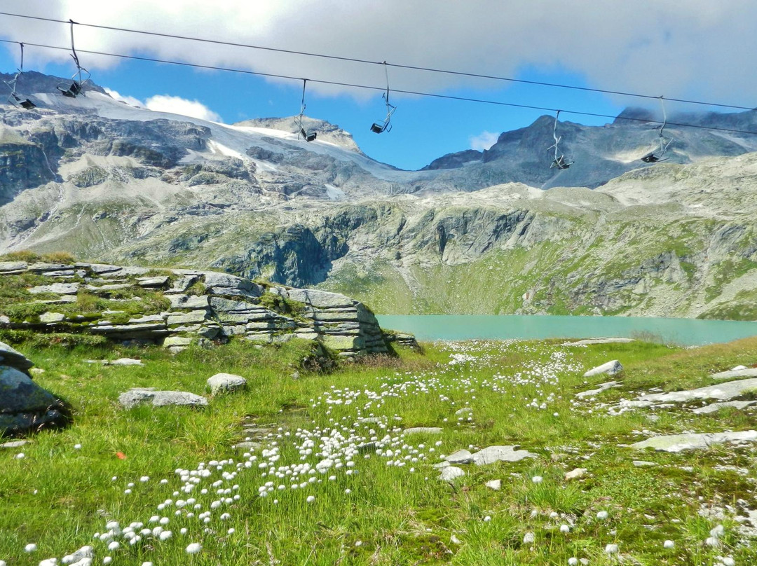 Nationalpark Hohe Tauern景点图片