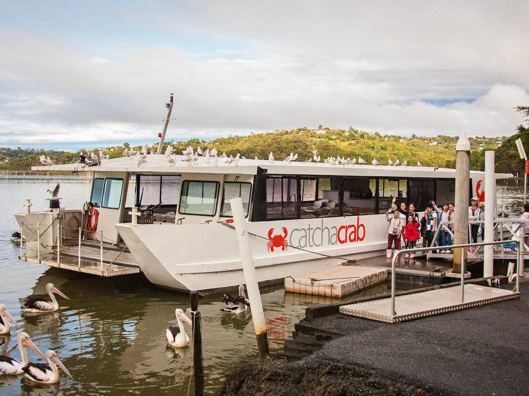 Catch a Crab-堤维德岬必去景点