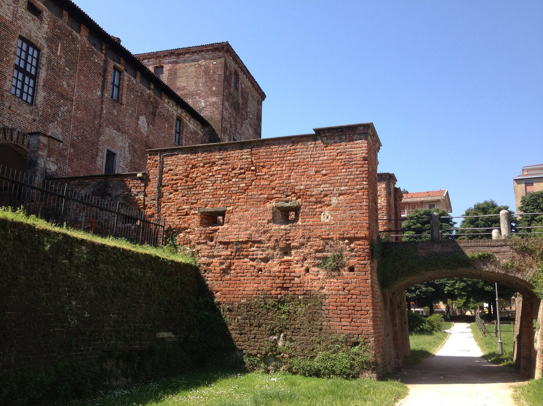Castello Mediceo景点图片