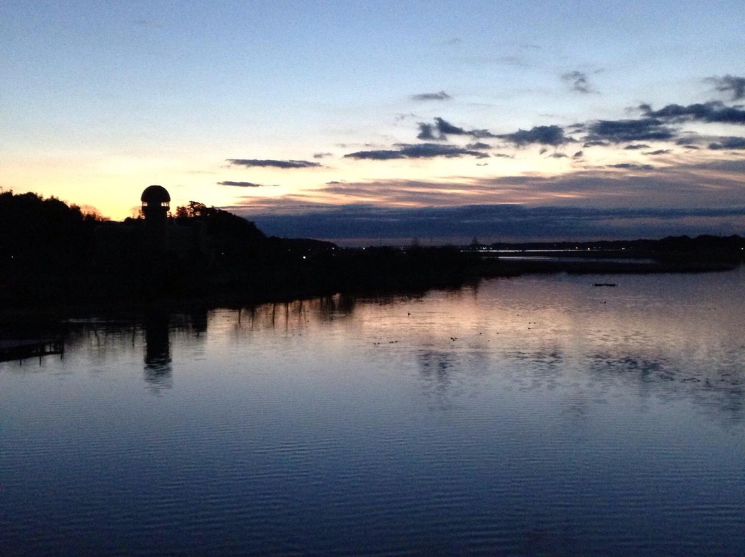 我孙子市旅游景点-Teganuma Park