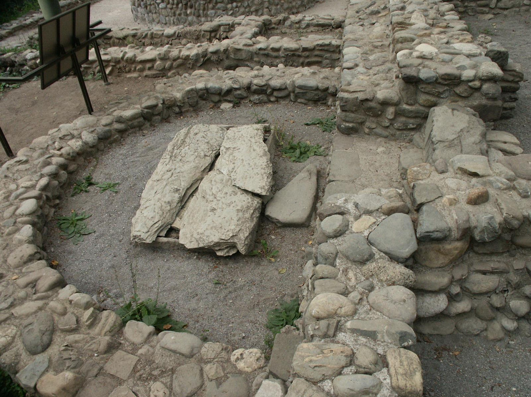 Basilica Paleocristiana ed Altomedievale di Villa Santina景点图片