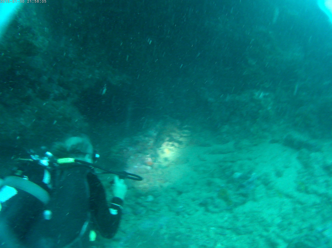 Jolly Roger 976-Bandrelé必去景点