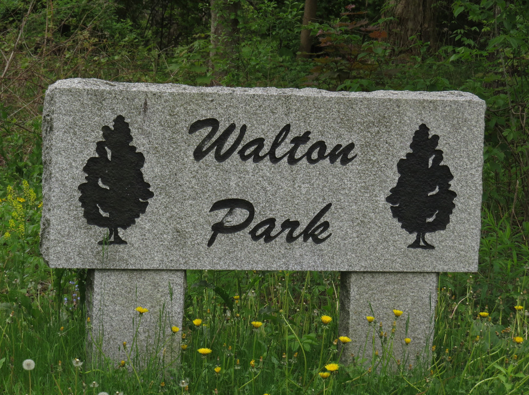Walton Park景点图片