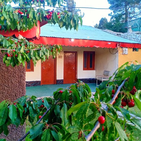 Ziarat-Quetta必去景点