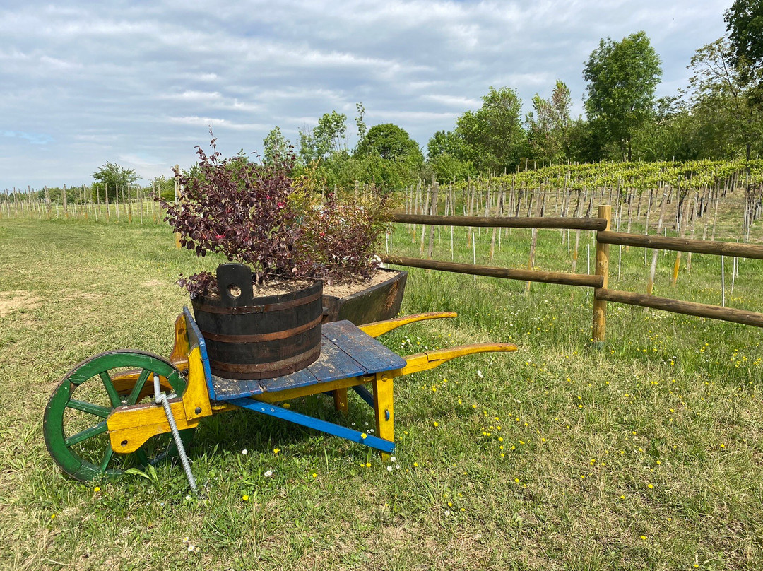 Panchina Gigante di Barengo