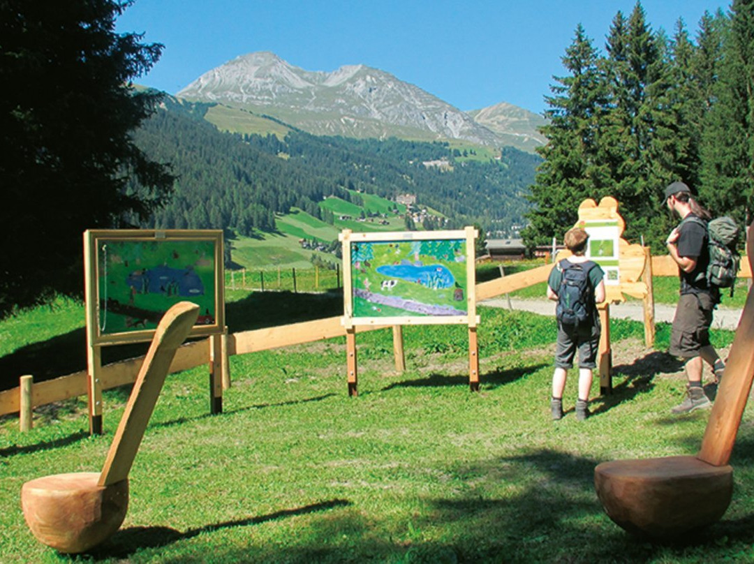 GWunderwald Heidboden Davos