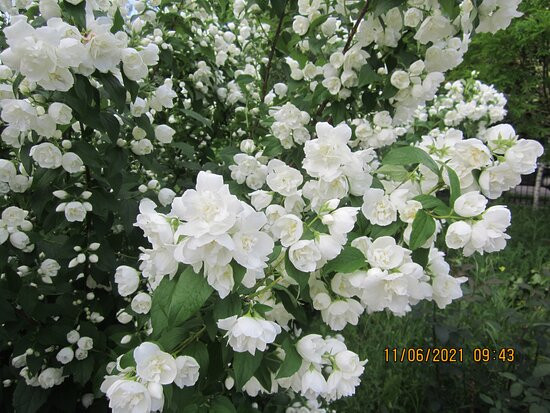 Temple of Archangel Michael-Makiivka必去景点