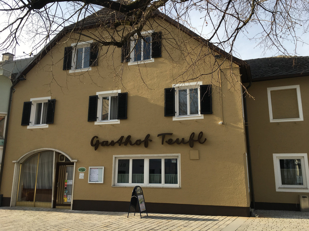 Steinakirchen am Forst酒店住宿-Gasthof Teufl